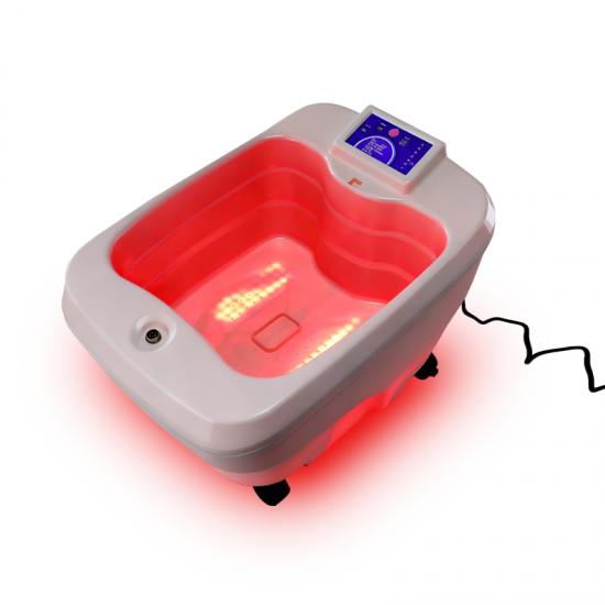 Ion Detox Foot Bath Machine