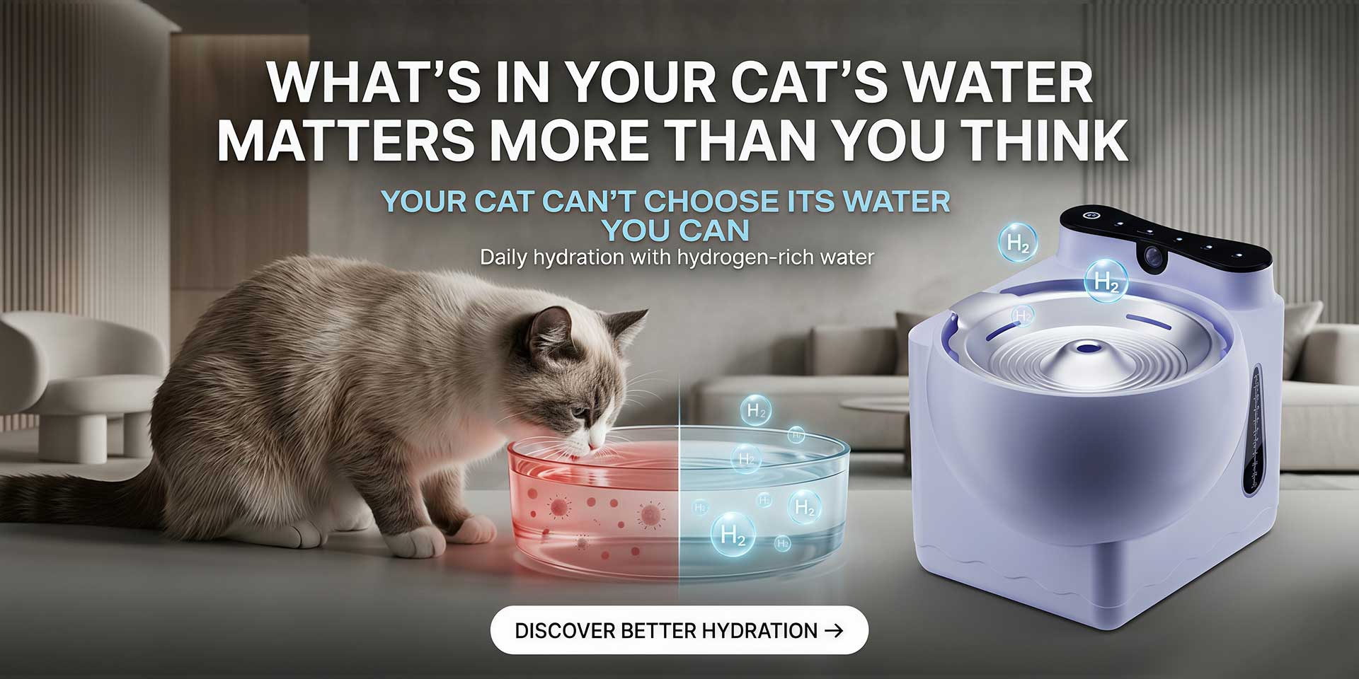 More Than Water.It’s Everyday Care.