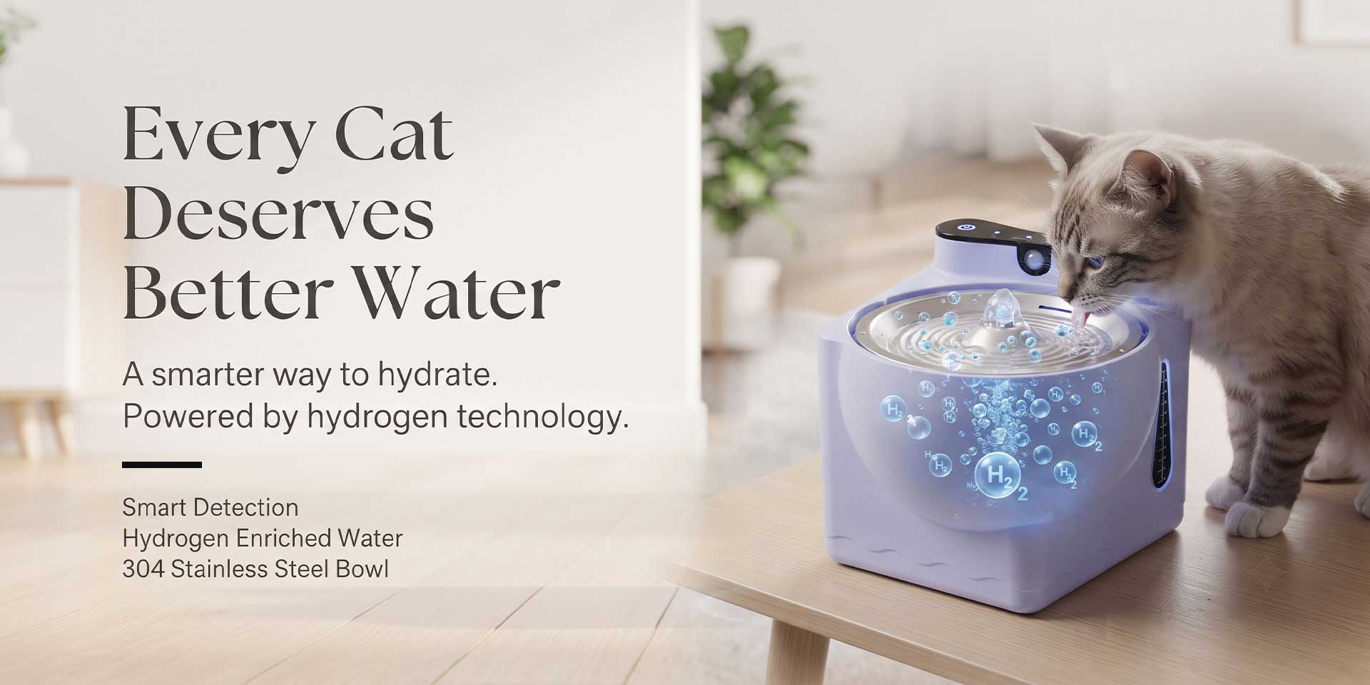 The Future of Pet Hydration + SPE Hydrogen Technology