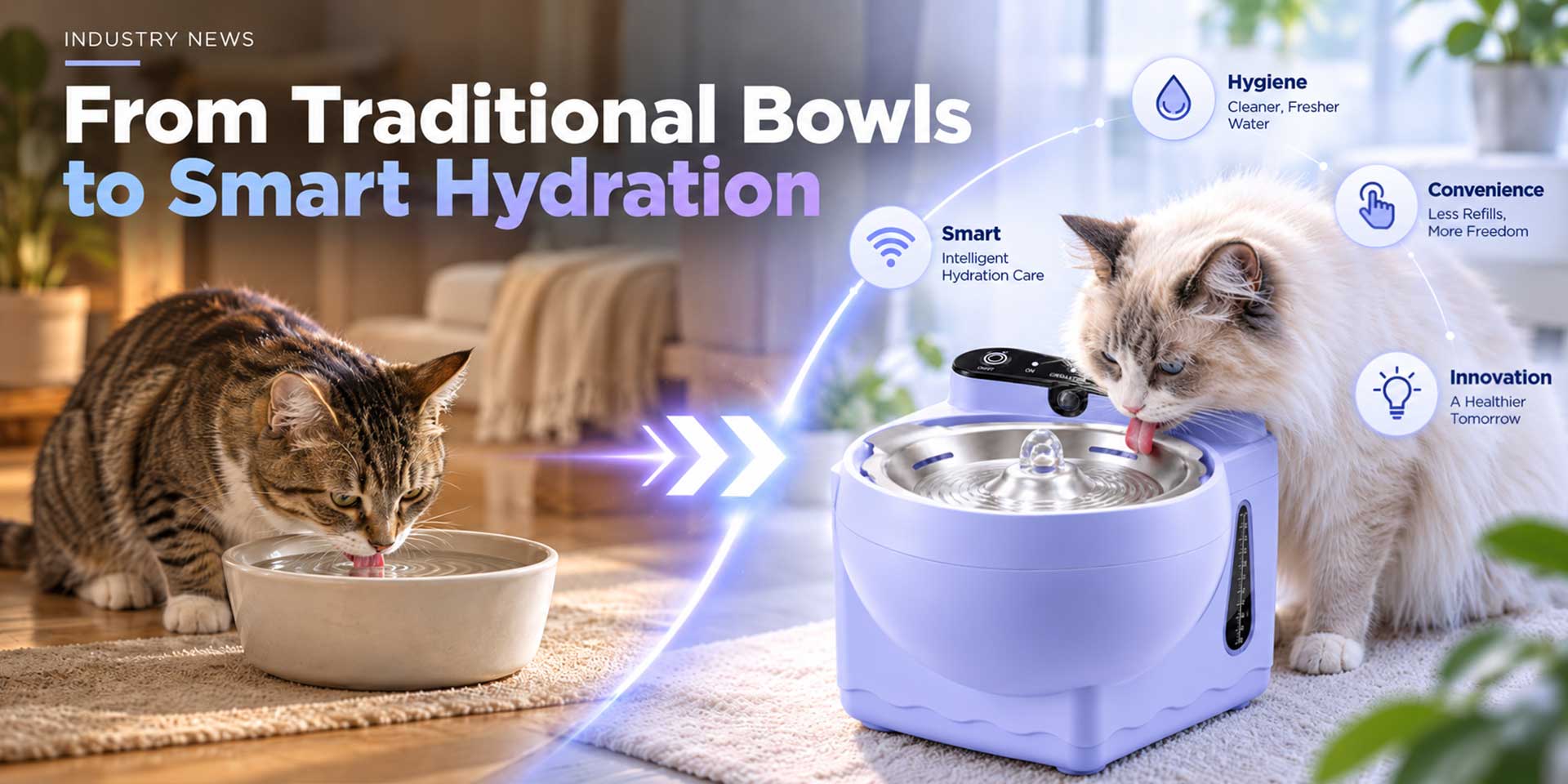 From Traditional Bowls to Smart Cat Hydration Solutions
